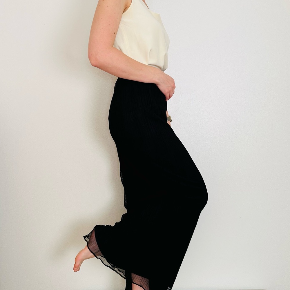 Adrianna Papell Evening Essentials Black Mesh Sheer Pleated Maxi Skirt